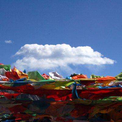 西藏拉萨南北山绿化工程持续推进